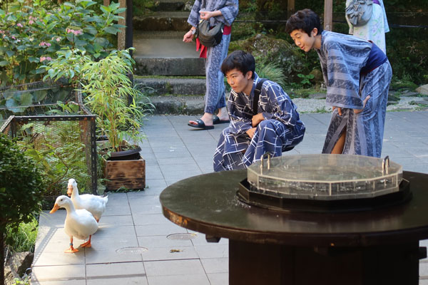 �A�q���ɋ����ÁX