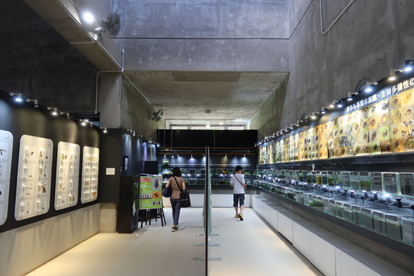 �J���Z�~������