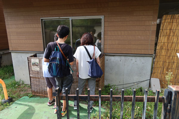 ���C�`���E�ɌQ����Ƒ�