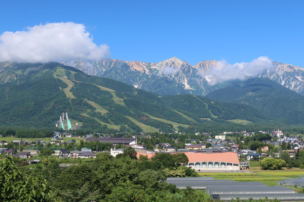 �z�e������̒���