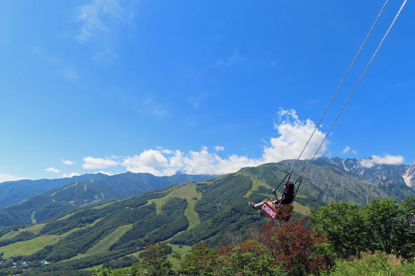 ���n�W���C�A���g�X�E�B���O