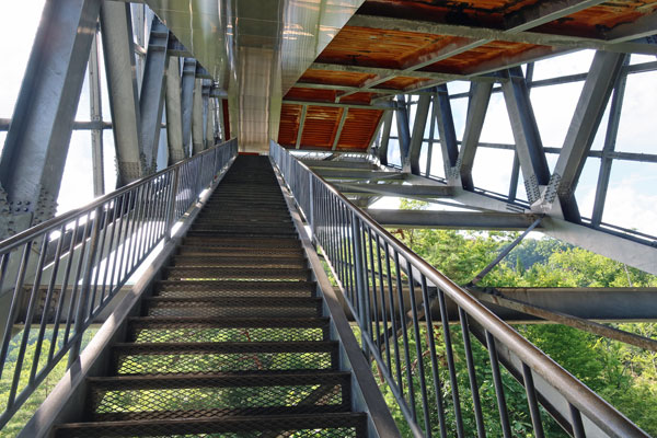 �K�i������ă��[�W�q���̂Ă��؂��