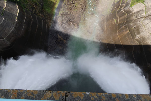 ���S����_���������낷