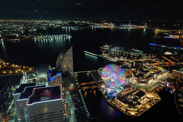 �����h�}�[�N�^���[ �X�J�C�K�[�f������̖�i