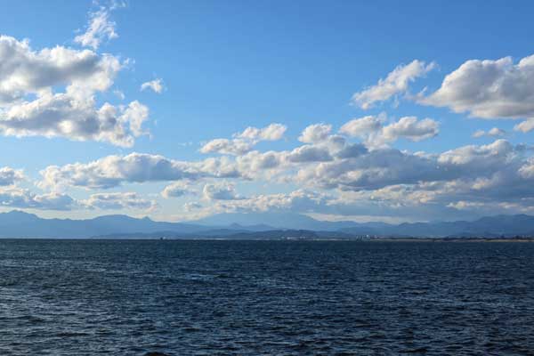 �x�m�R������