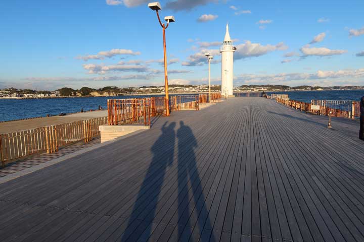 �]�̓���h�̃E�b�h�f�b�L