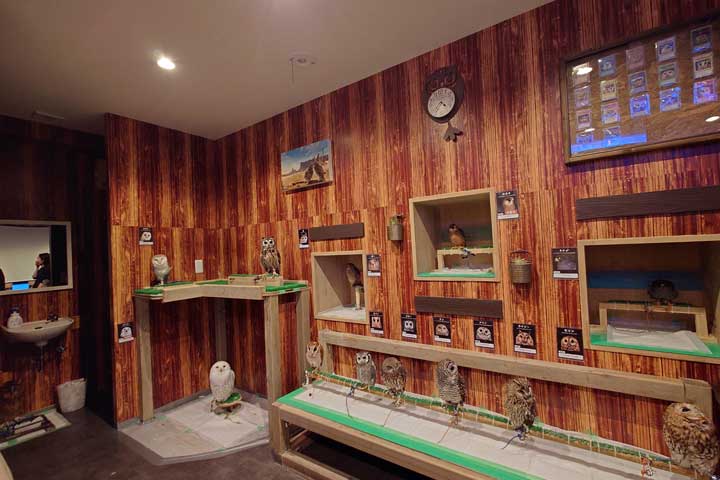 �t�N���E�J�t�F