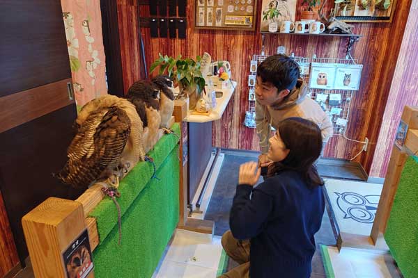 �����t�߂̃t�N���E����