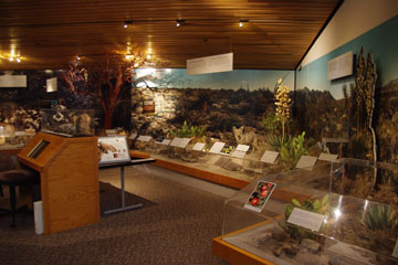 Visitor Center̒