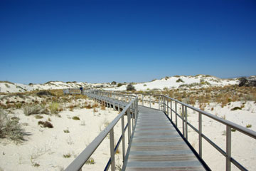 Board Walk