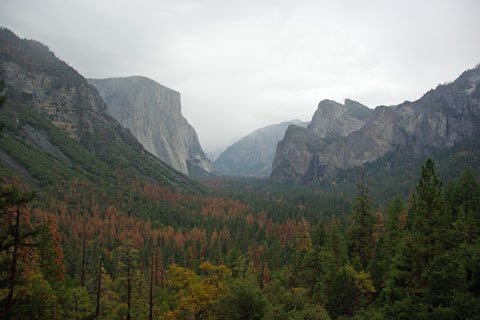 Tunnel View̒