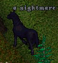Nightmare