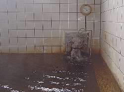 トータス温泉の湯口