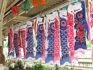 日奈久温泉駅のミニ鯉のぼり