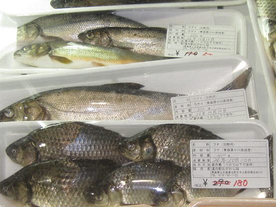 小川原湖産淡水魚