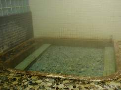 滝の湯旅館浴室